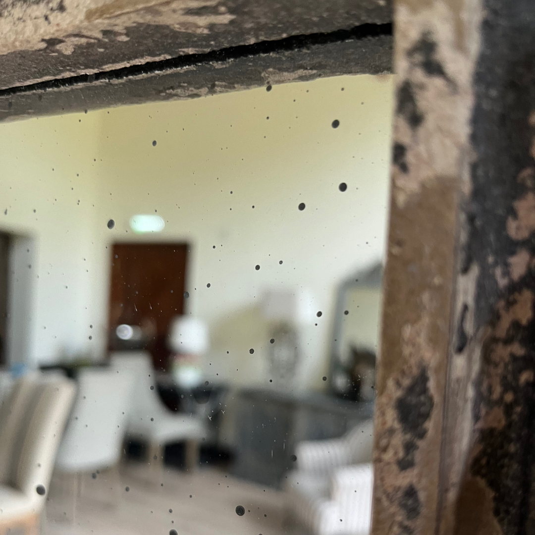 Large Ornate Floor Mirror with Decorative Frame