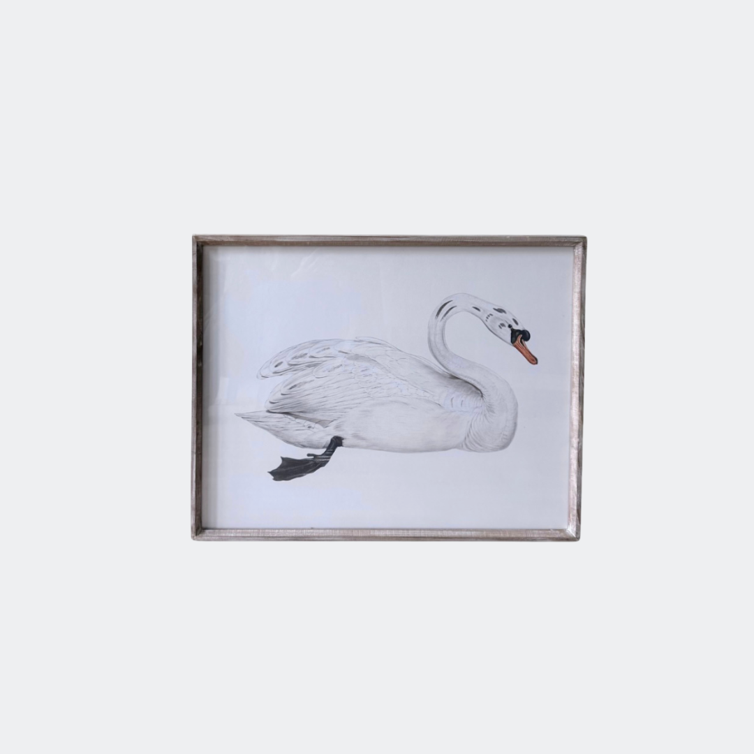 Set of Two Swan Prints Framed