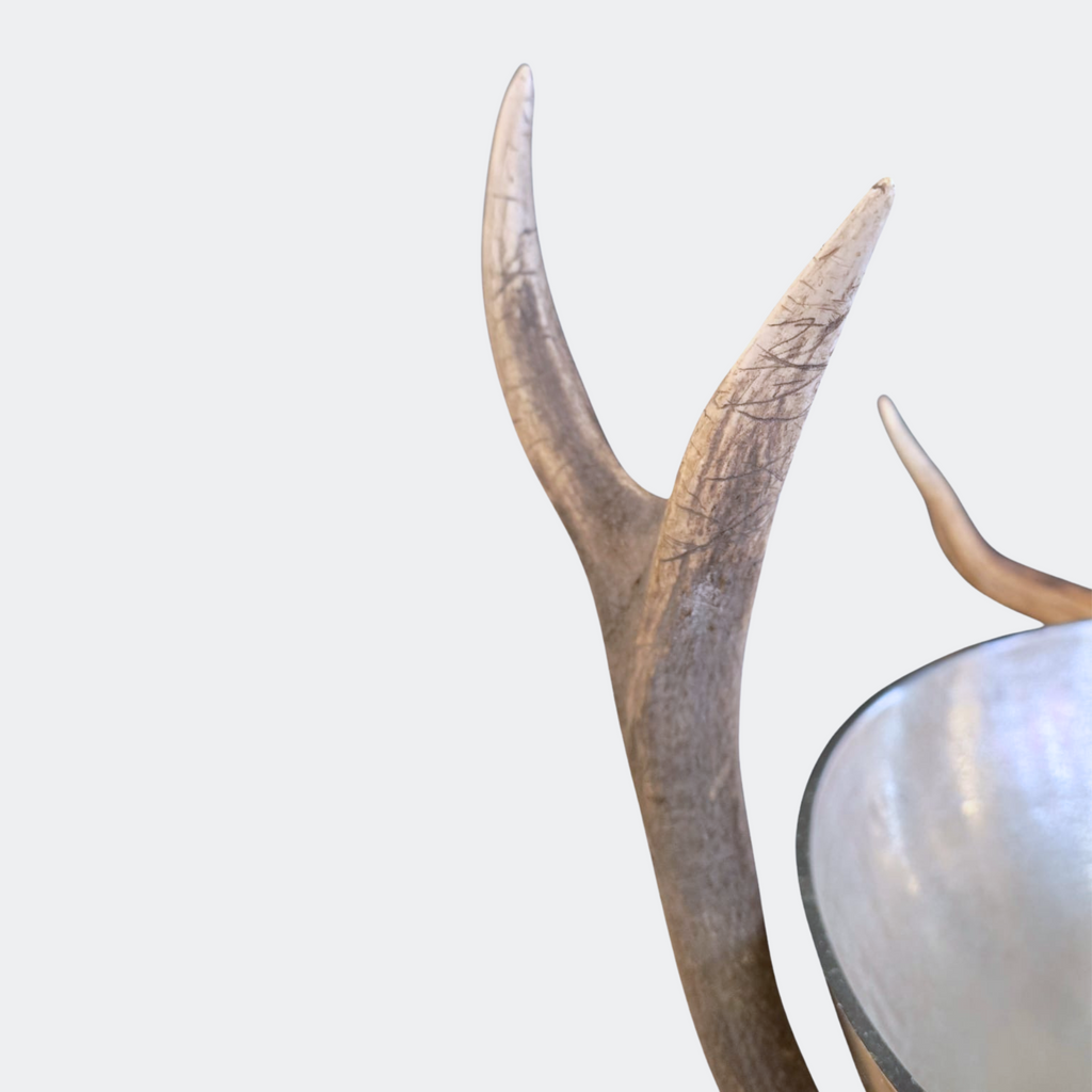 Luxury Antler Champagne Cooler