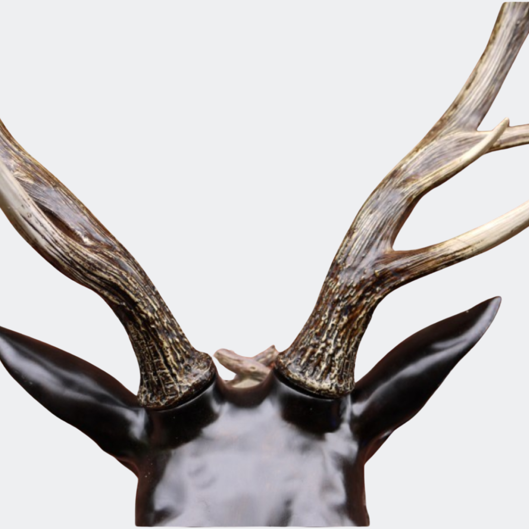 Decorative Stag Head Wall Mount - Resin Antlers