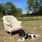 Country Home Button Linen Armchair with Castors