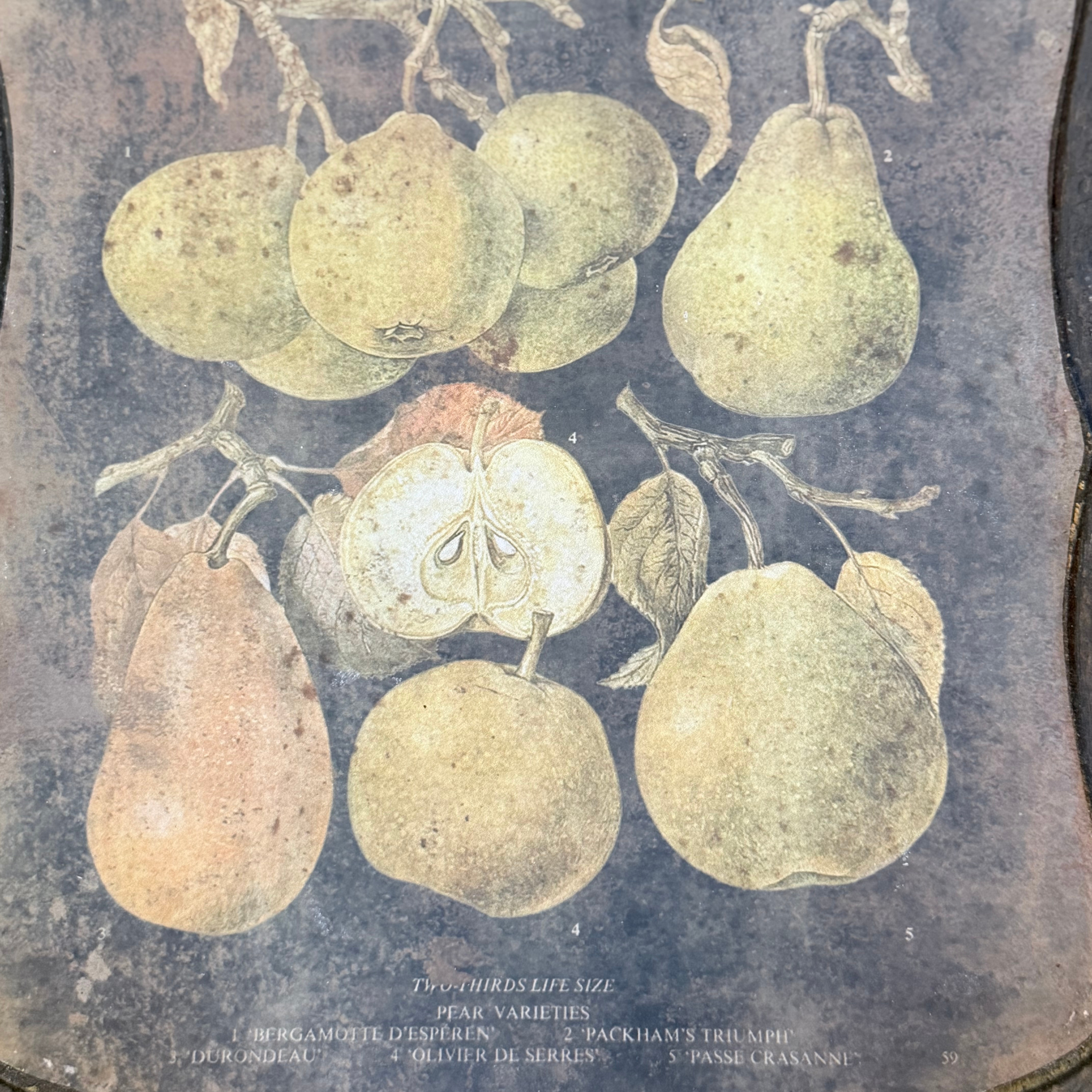 Antique Style Resin & Paper Tray