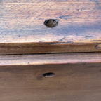 Antique Pine Trunk with Original Trollope & Sons Label