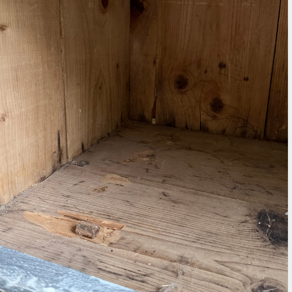 19th Century Stacked Trunk Estate Cabinet - Solid Pine