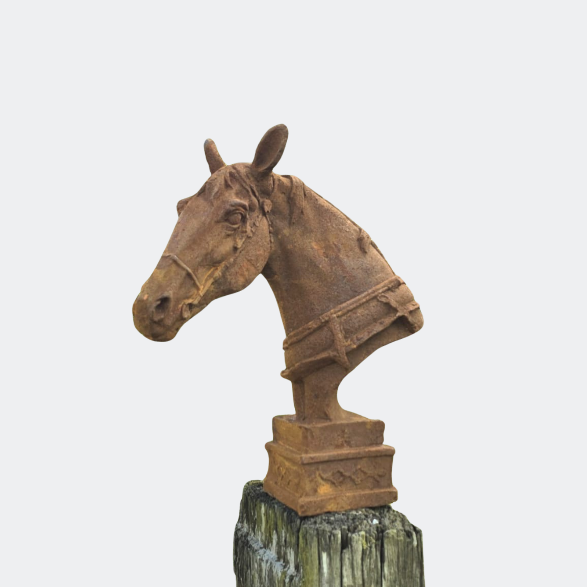 Cast Iron Horse Bust Sculpture