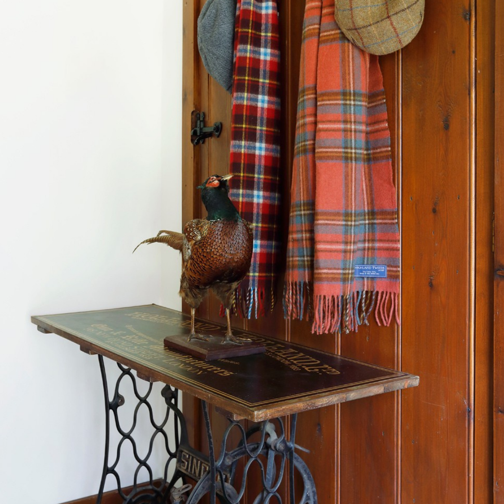 Vintage Irish Taxidermy Pheasant on Oak Stand