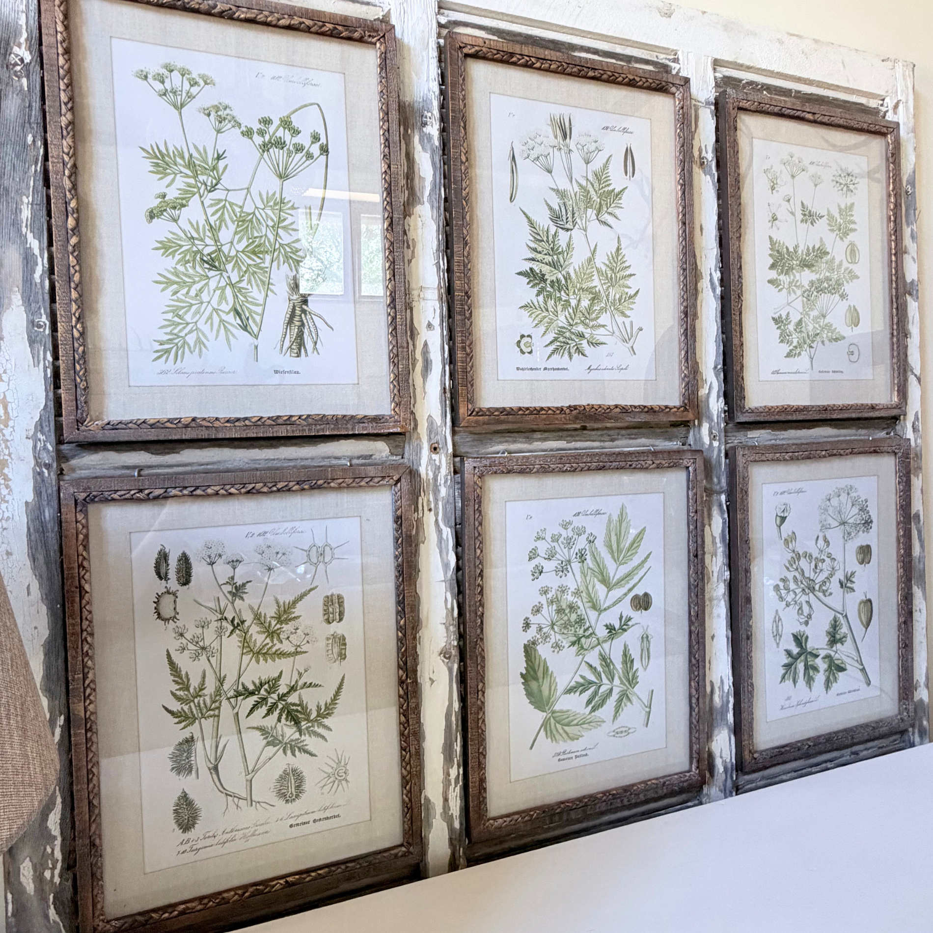 Framed Botanical Prints — Set of 6