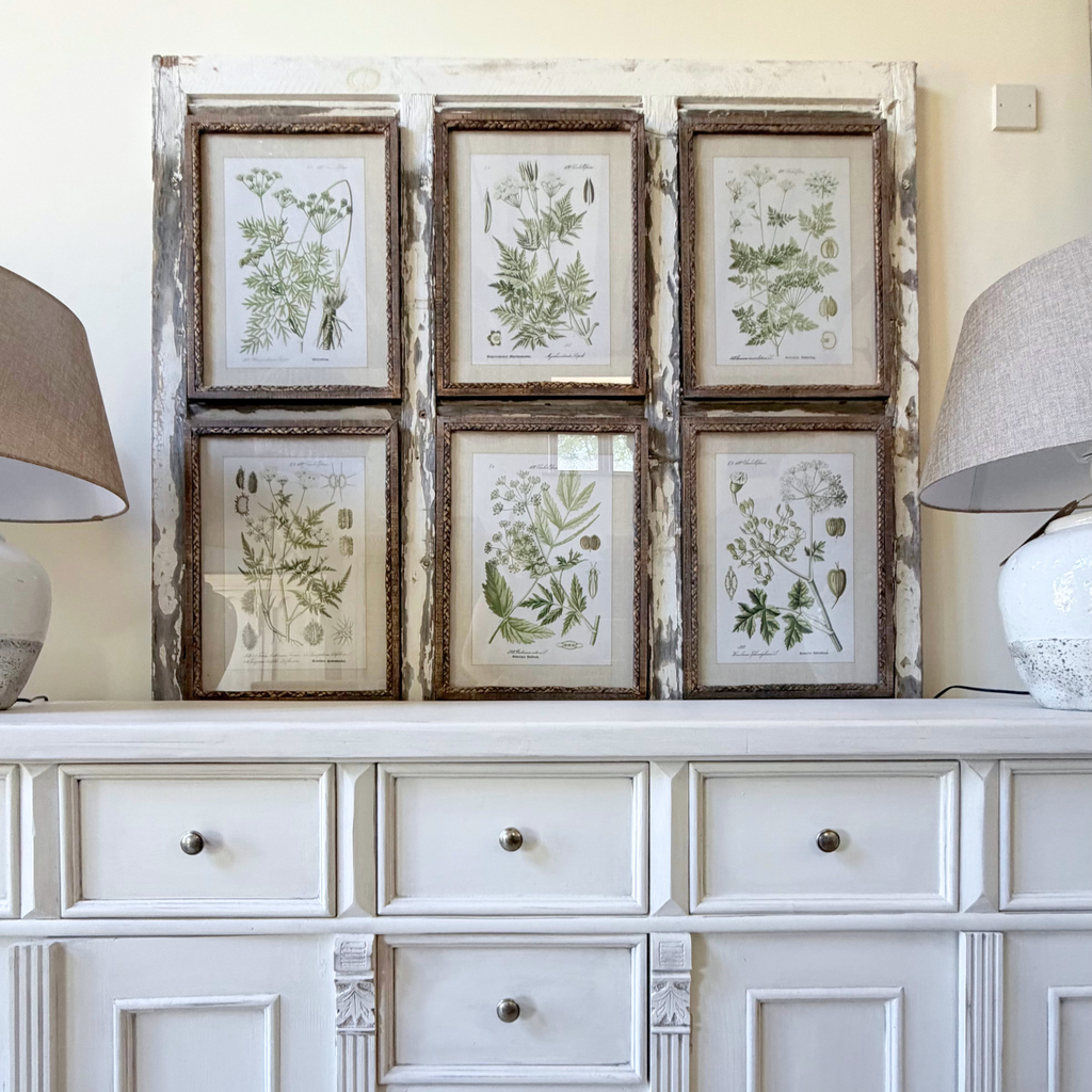 Framed Botanical Prints — Set of 6