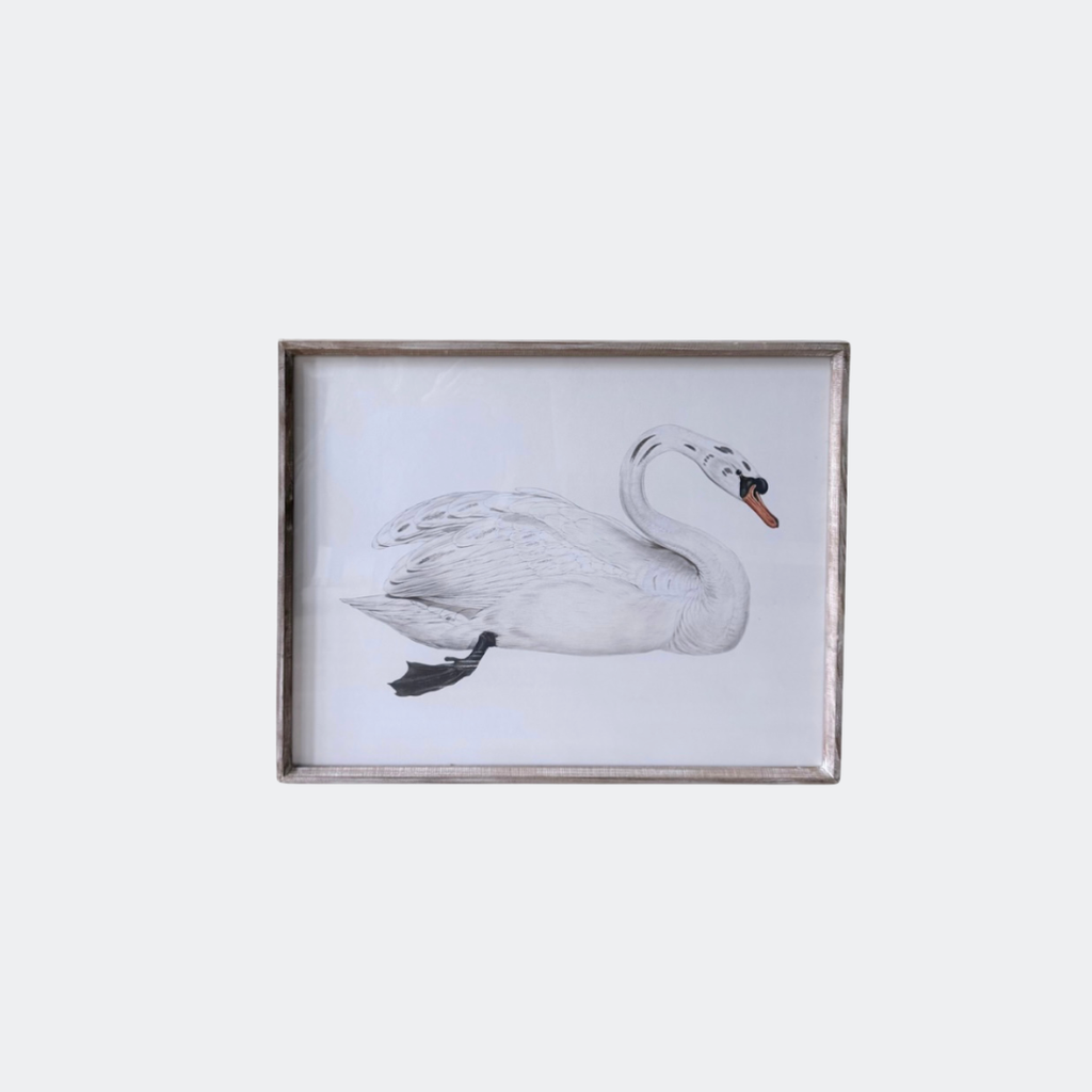 Set of Two Swan Prints Framed