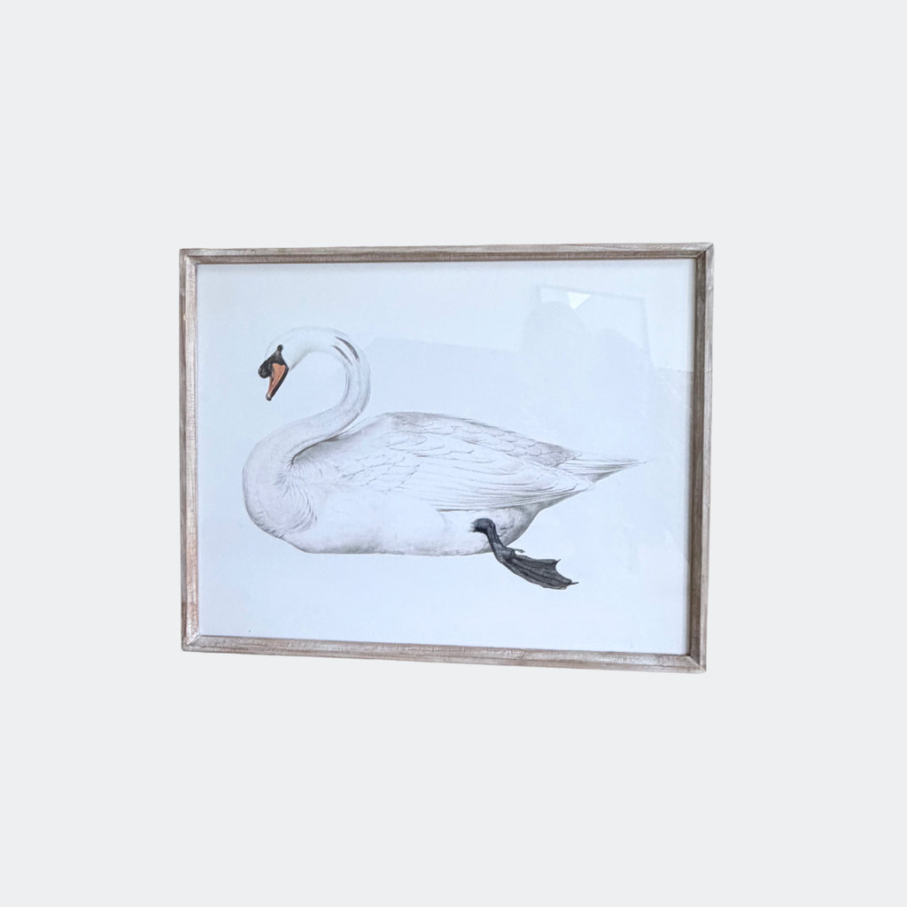 Set of Two Swan Prints Framed